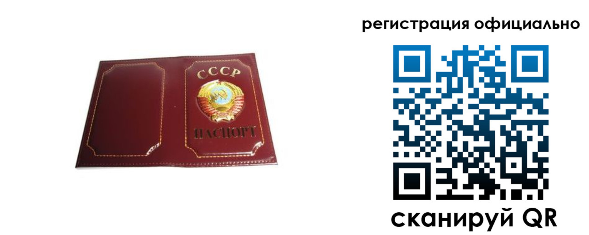 прописка в Жукове